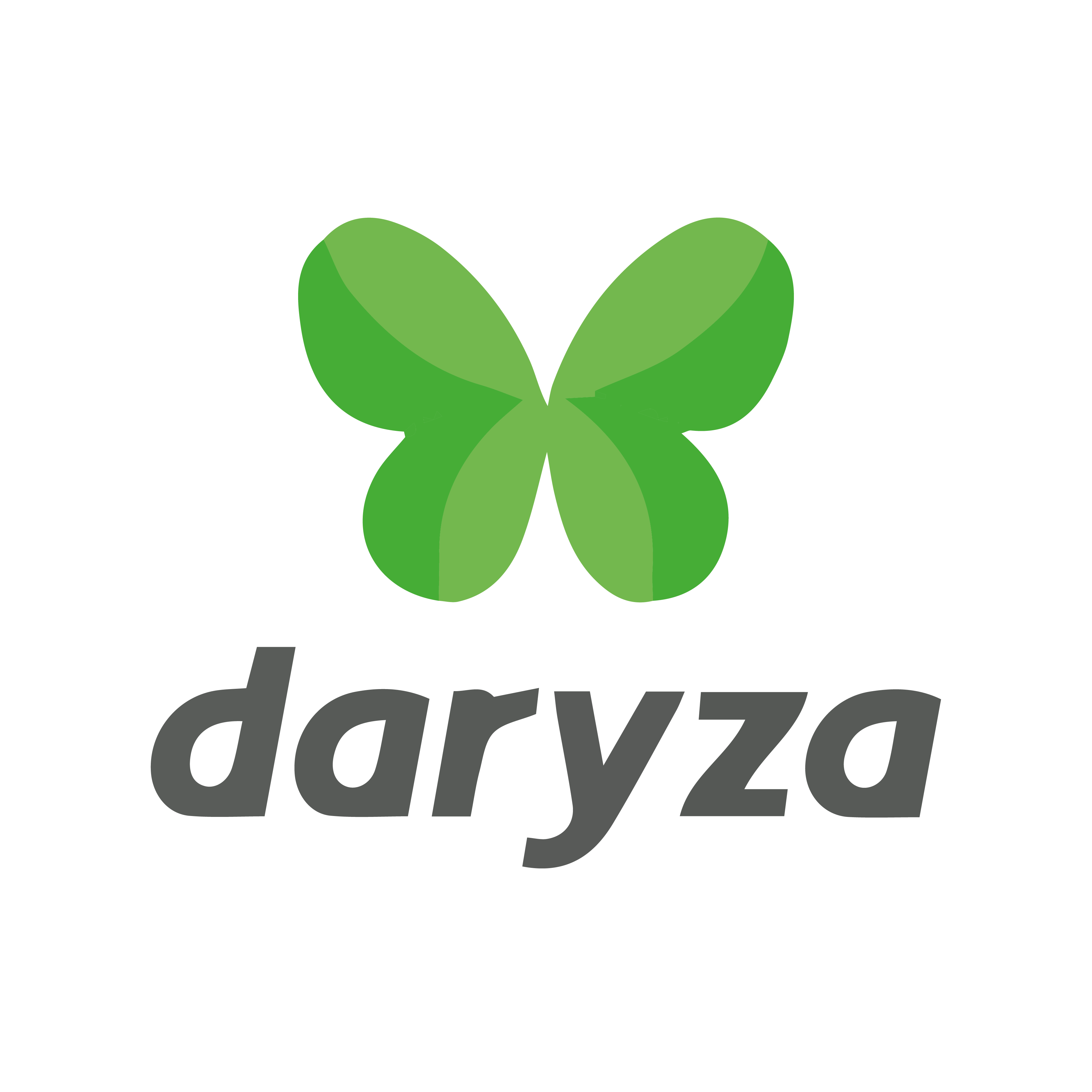 DARYZA300