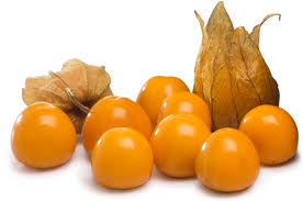 aguaymanto