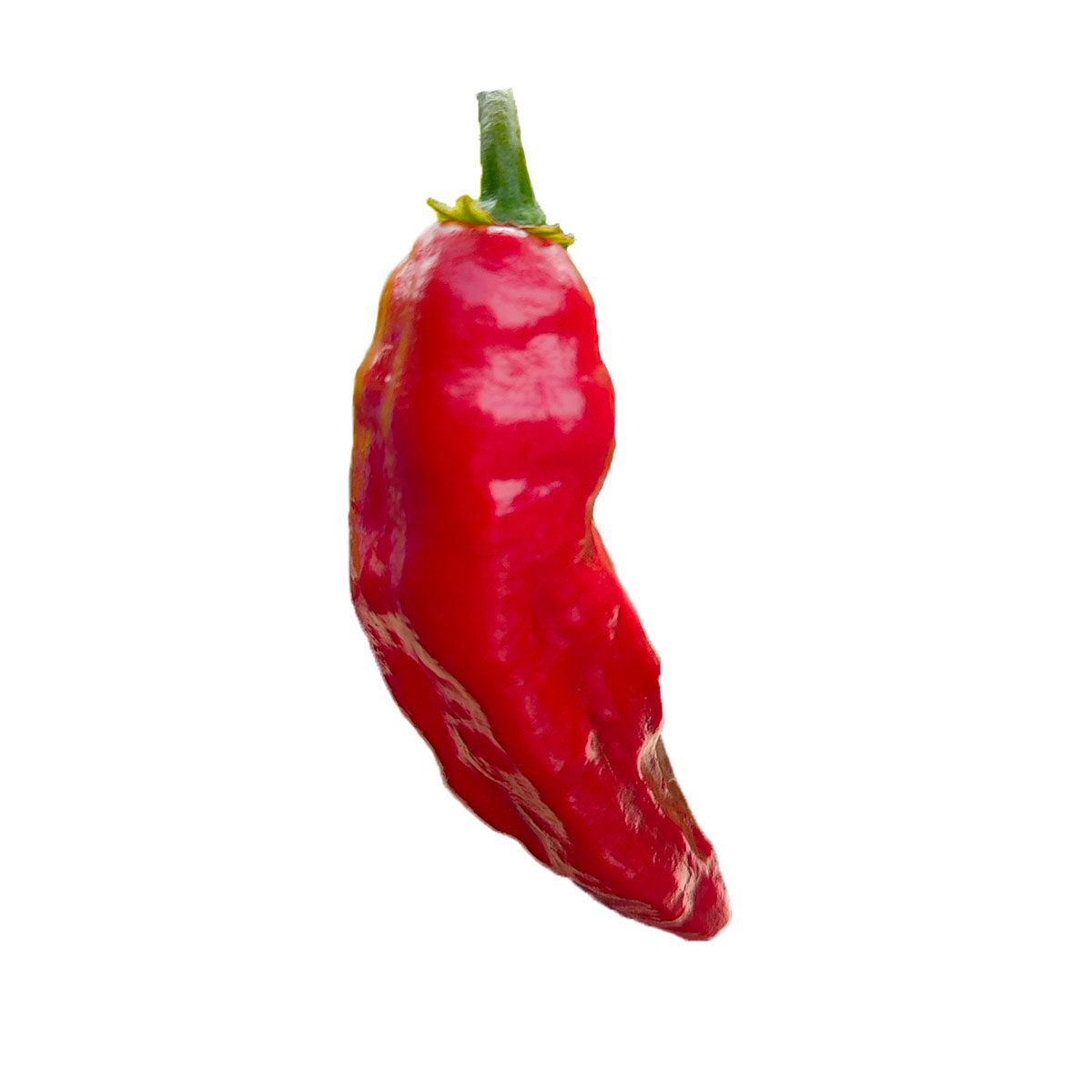 aji limo rojo