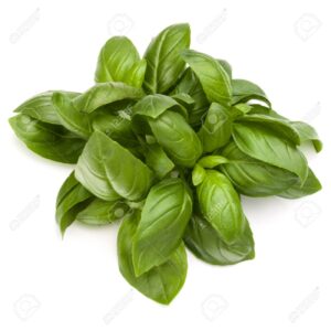 Albahaca
