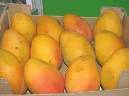 Mango papaya