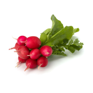 Rabanito